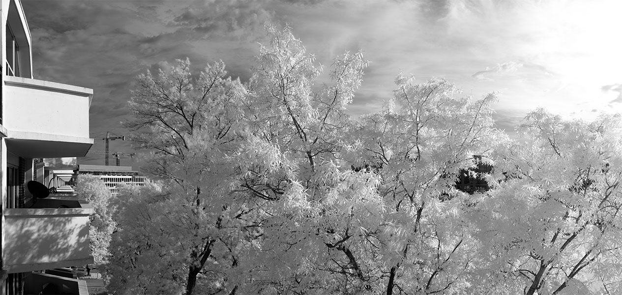 Infrared Panorama of Apartment Building Balconies and Trees